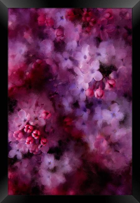 Painted Lilac Framed Print by Ann Garrett