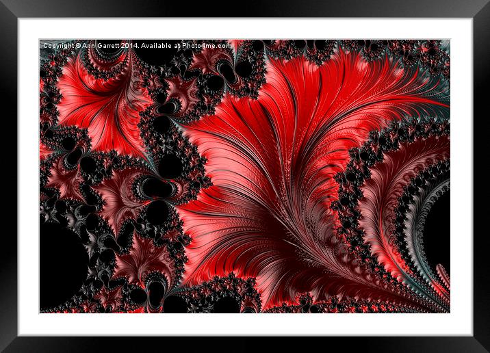 Red on Black Macro - A Fractal Abstract Framed Mounted Print by Ann Garrett