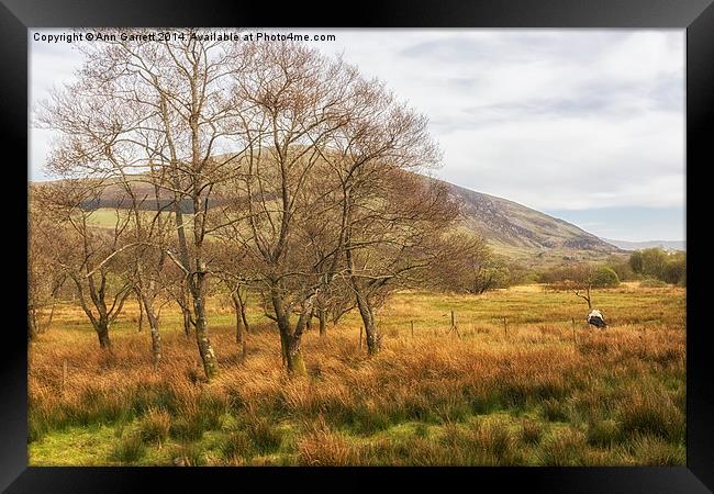 View from Steam Train from Caernarfon Framed Print by Ann Garrett