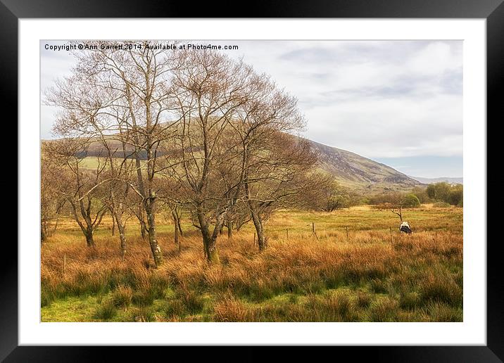 View from Steam Train from Caernarfon Framed Mounted Print by Ann Garrett