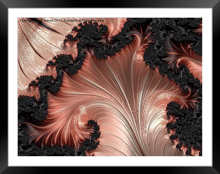 Fractal Ruffles- A Fractal Abstract Framed Mounted Print by Ann Garrett