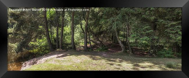 Cannock Chase Panorama Framed Print by Ann Garrett