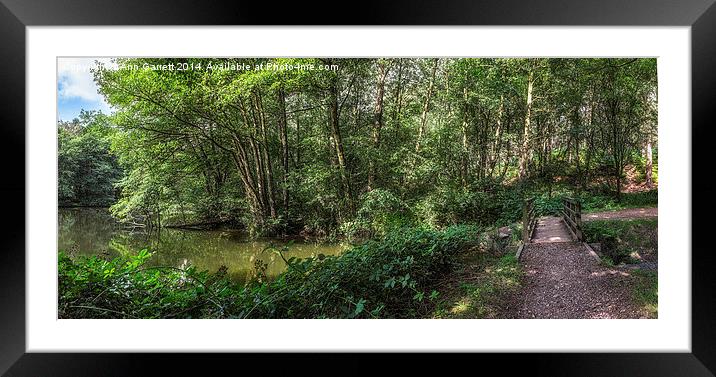 Cannock Chase Panorama Framed Mounted Print by Ann Garrett