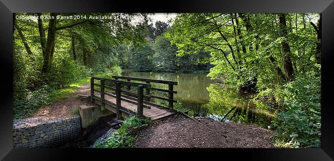 Cannock Chase Panorama 2 Framed Print by Ann Garrett