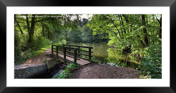 Cannock Chase Panorama 2 Framed Mounted Print by Ann Garrett
