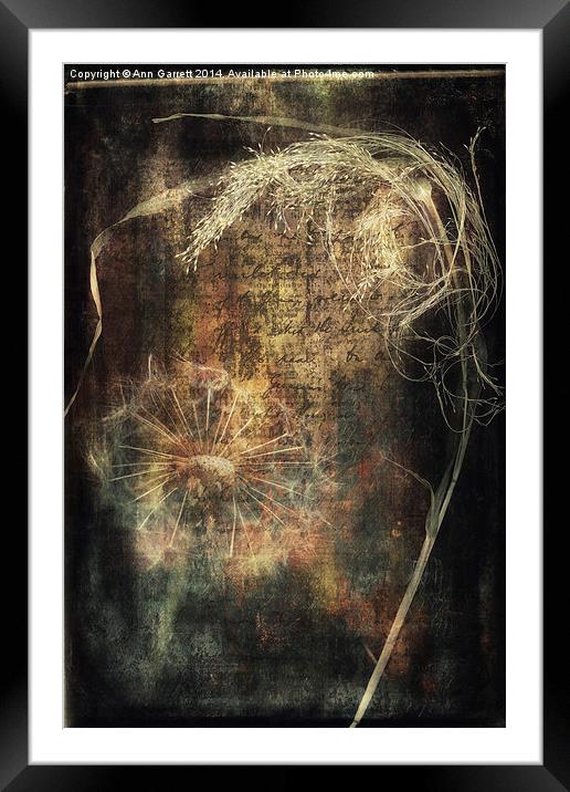Seeds and Textures Framed Mounted Print by Ann Garrett