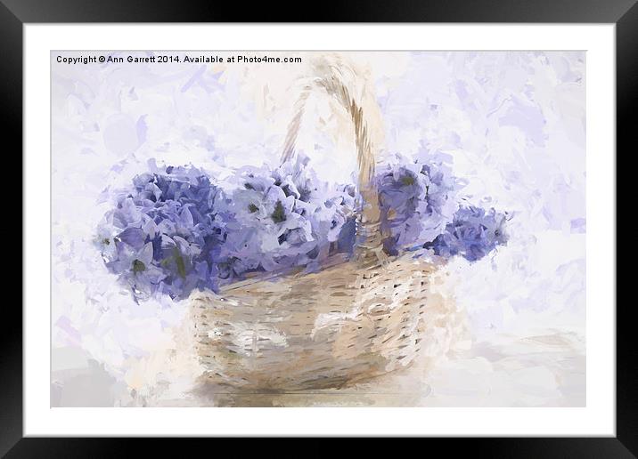 Basket of Hyacinth - Digital Painting Framed Mounted Print by Ann Garrett