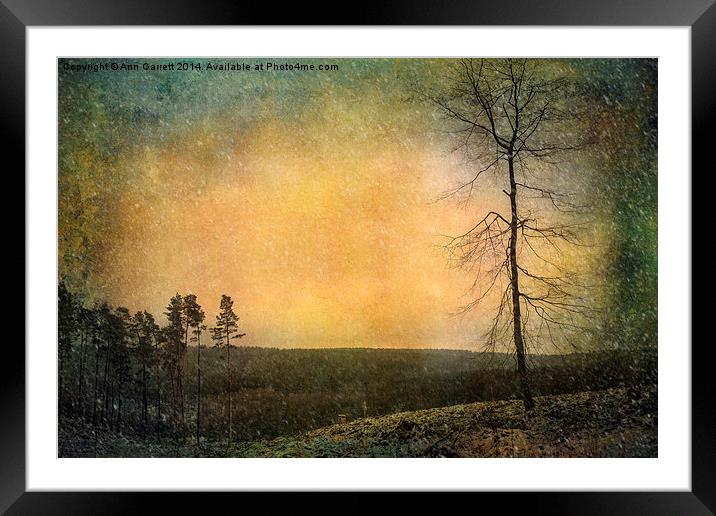 Solitary Tree in the Snow Framed Mounted Print by Ann Garrett