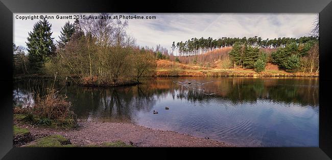 Fishing Pool, Birches Valley, Cannock Chase Framed Print by Ann Garrett