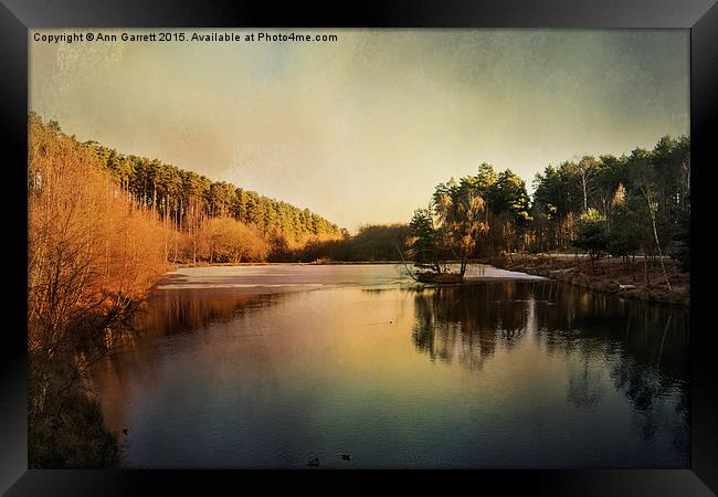 Fishing Pool, Birches Valley, Cannock Chase Framed Print by Ann Garrett