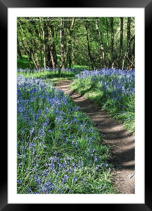 Bluebell Path Framed Mounted Print by Ann Garrett