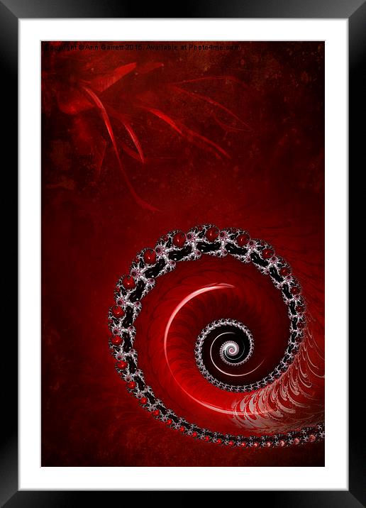 Feathers and Fractals Framed Mounted Print by Ann Garrett