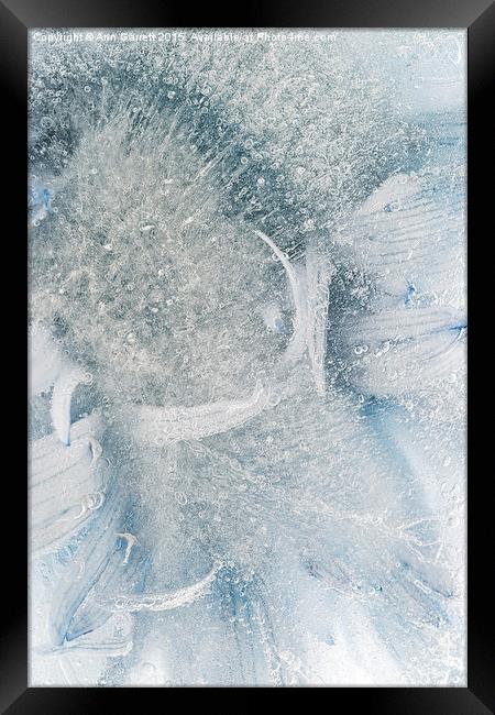 Frozen Daisy Framed Print by Ann Garrett