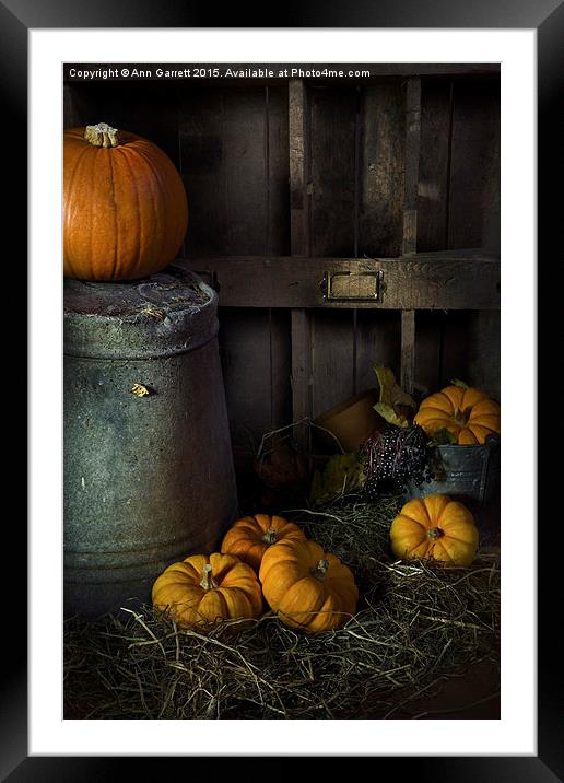 Pumpkins on Straw Framed Mounted Print by Ann Garrett