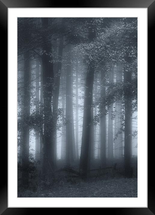 Autumn Mists Framed Mounted Print by Ann Garrett