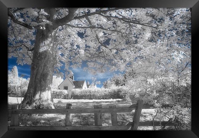 Dream Cottage 2 - Infrared Framed Print by Ann Garrett