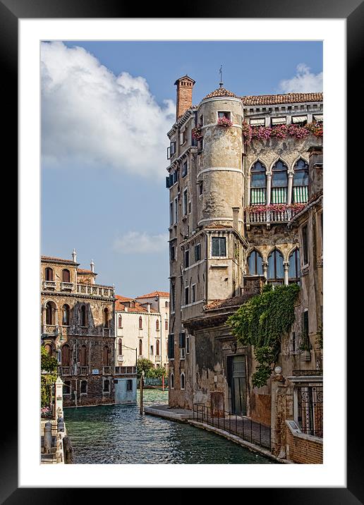 Venice Flowers Framed Mounted Print by Ann Garrett