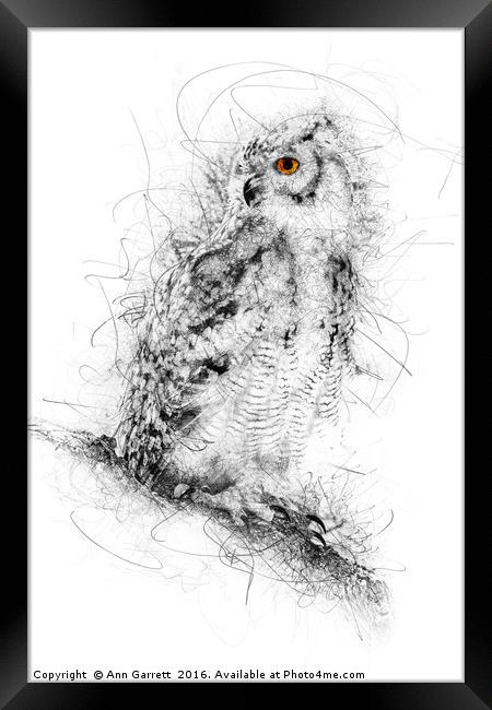 Owl Sketch Framed Print by Ann Garrett