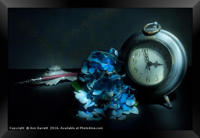 Hydrangea Time Framed Print by Ann Garrett