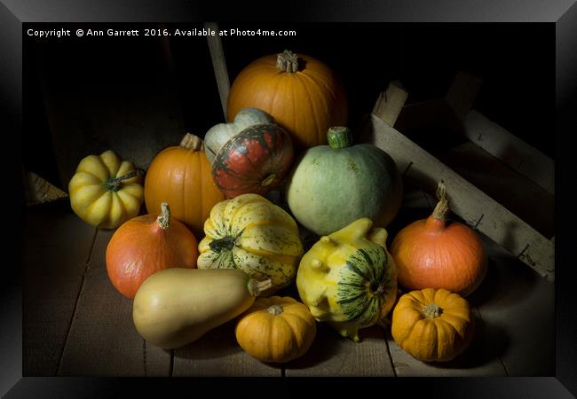 A Crate of Pumpkins Framed Print by Ann Garrett