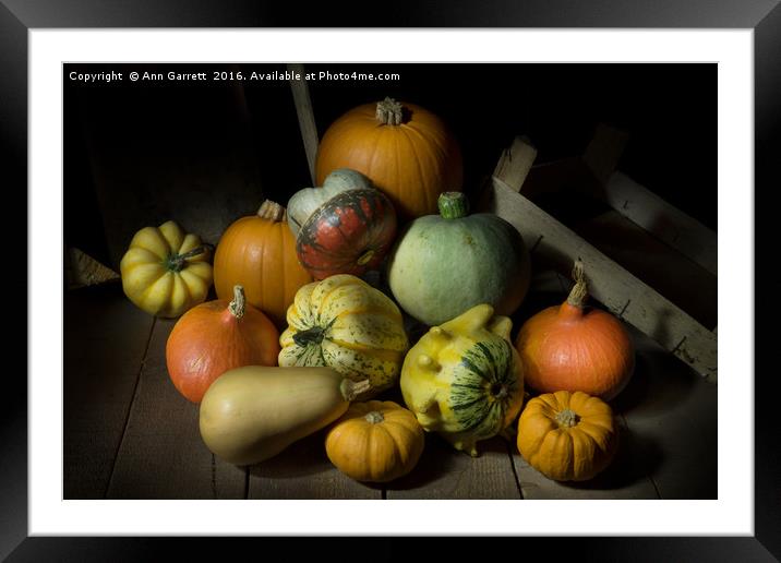 A Crate of Pumpkins Framed Mounted Print by Ann Garrett