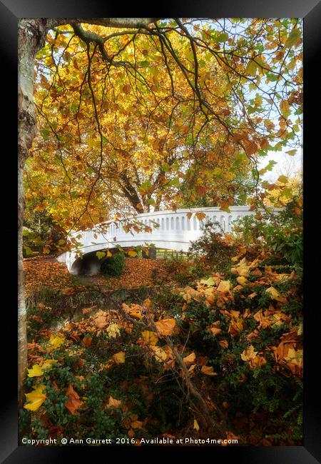 Coronation Bridge Victoria Park Stafford  Framed Print by Ann Garrett