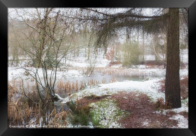 Misty Lake in the Snow Framed Print by Ann Garrett