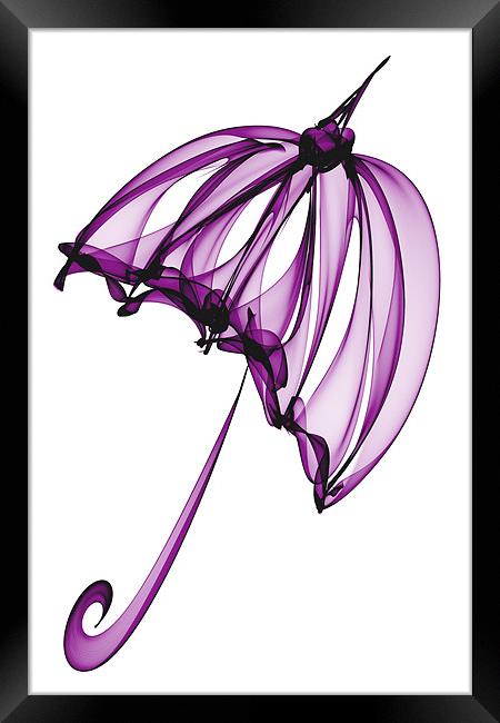Purple Umbrella Framed Print by Ann Garrett