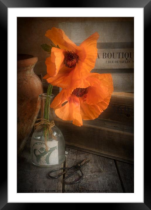 Two Poppies in a Vase Framed Mounted Print by Ann Garrett