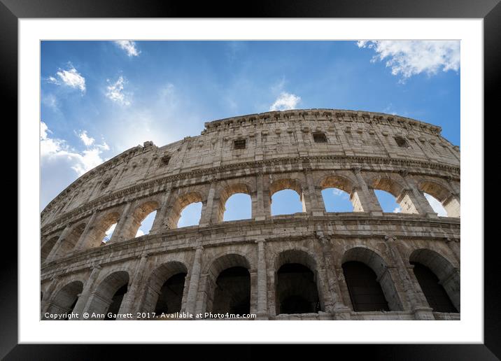 The Colosseum Rome Framed Mounted Print by Ann Garrett