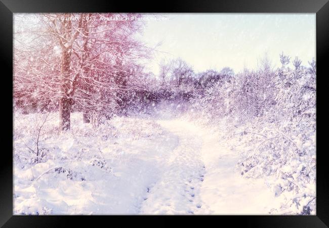 Winter Magic Framed Print by Ann Garrett