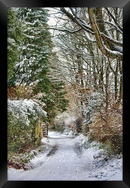 Back Gate in the Snow Framed Print by Ann Garrett