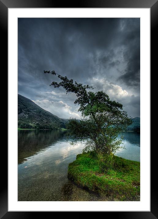 Ullswater Tree Framed Mounted Print by Ann Garrett