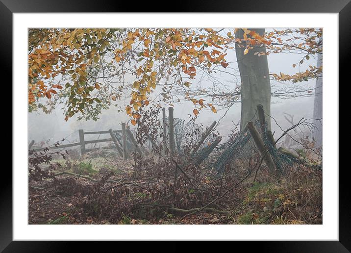 Autumn Fence Framed Mounted Print by Ann Garrett