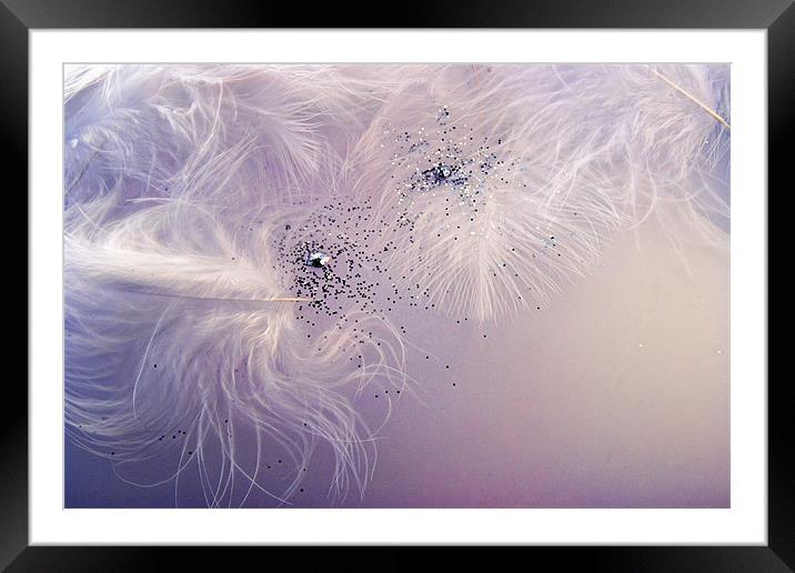 Feathers and Glitter Framed Mounted Print by Ann Garrett