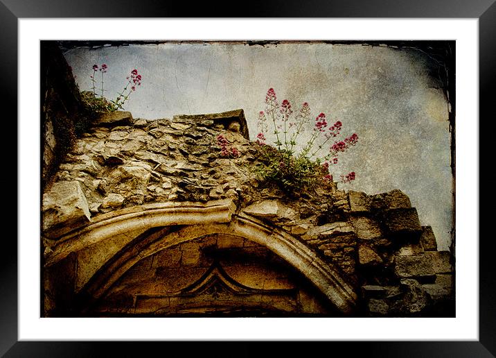 Arch Ruins Framed Mounted Print by Ann Garrett