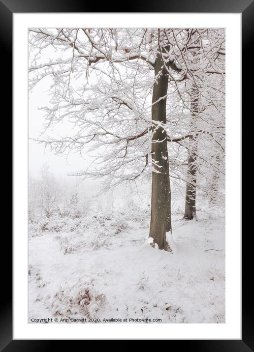 Beech Trees in the Snow Framed Mounted Print by Ann Garrett