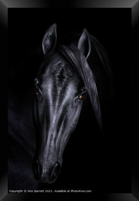 Black Horse 3D Portrait Framed Print by Ann Garrett