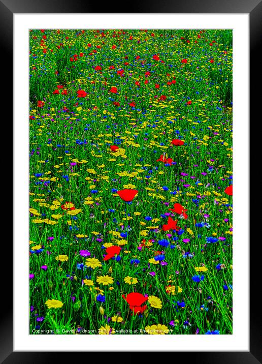 Wild Flower Meadow Framed Mounted Print by David Atkinson