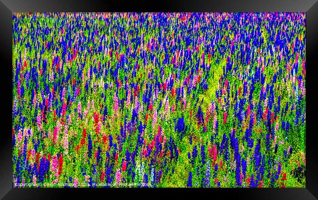 Abstract flower field  Framed Print by David Atkinson