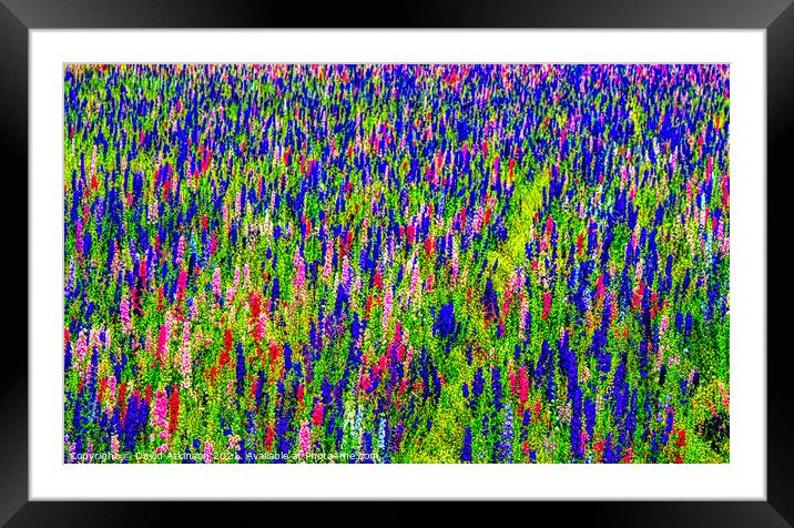 Abstract flower field  Framed Mounted Print by David Atkinson