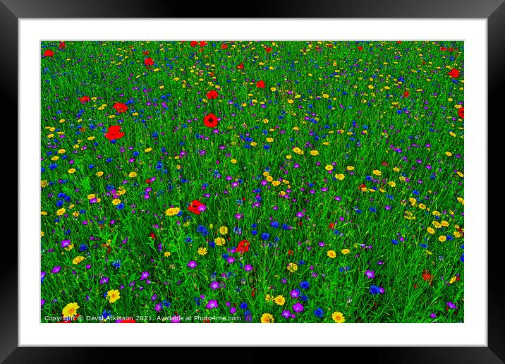 Wild Flowers Framed Mounted Print by David Atkinson
