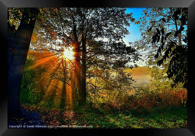 Autumn sunbeams  Framed Print by David Atkinson