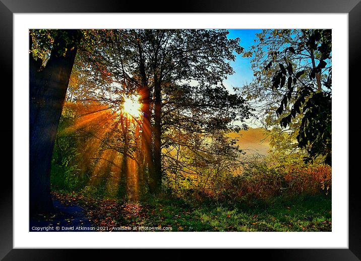 Autumn sunbeams  Framed Mounted Print by David Atkinson