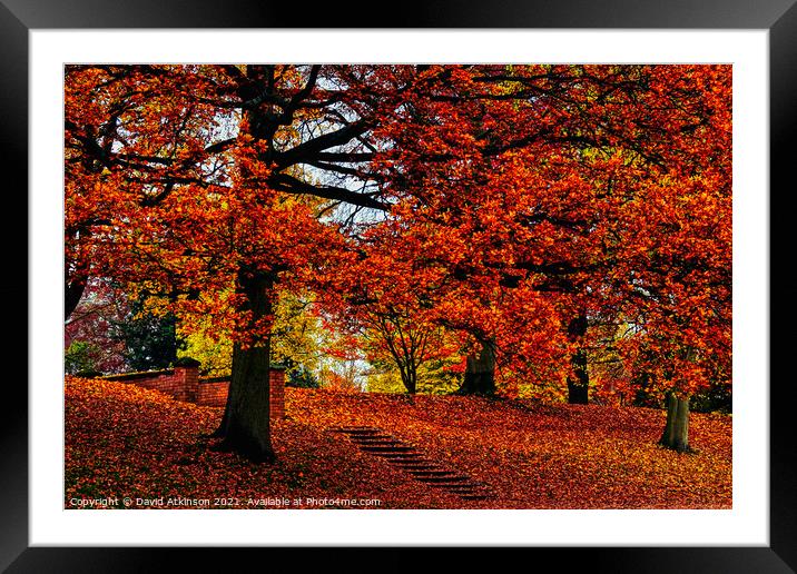 Step into Autumn  Framed Mounted Print by David Atkinson