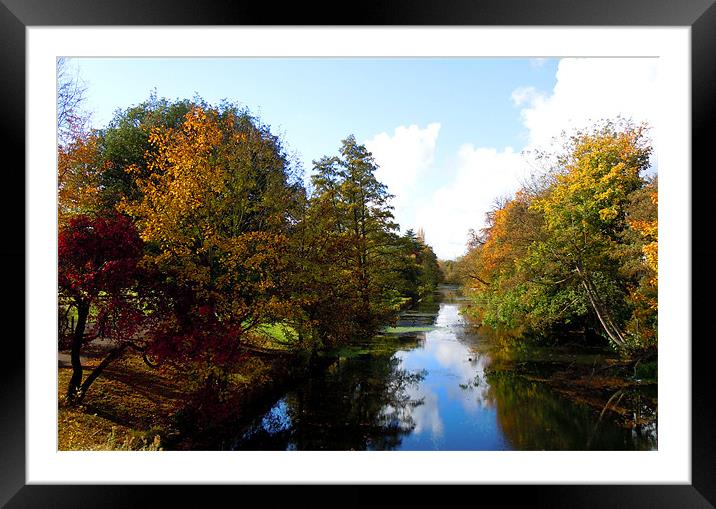 AUTUMN RIVER Framed Mounted Print by David Atkinson