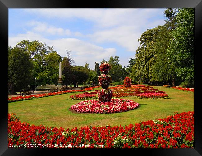 FLOWERS IN THE PARK Framed Print by David Atkinson