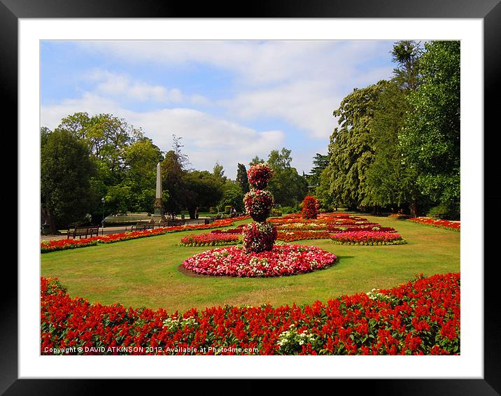 FLOWERS IN THE PARK Framed Mounted Print by David Atkinson