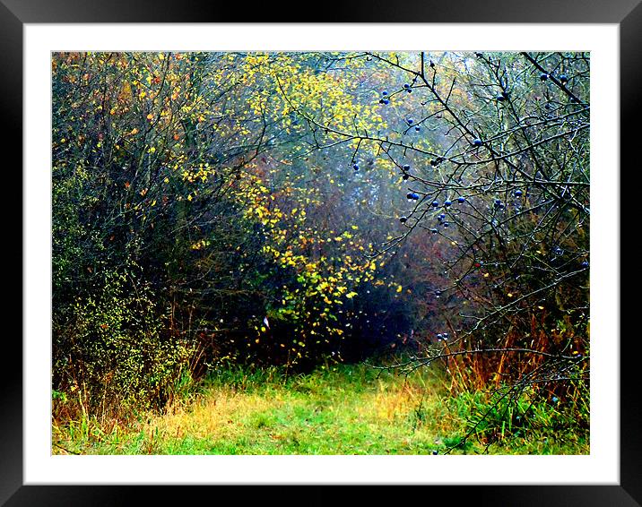 RAIN DROPS ON BERRIES Framed Mounted Print by David Atkinson