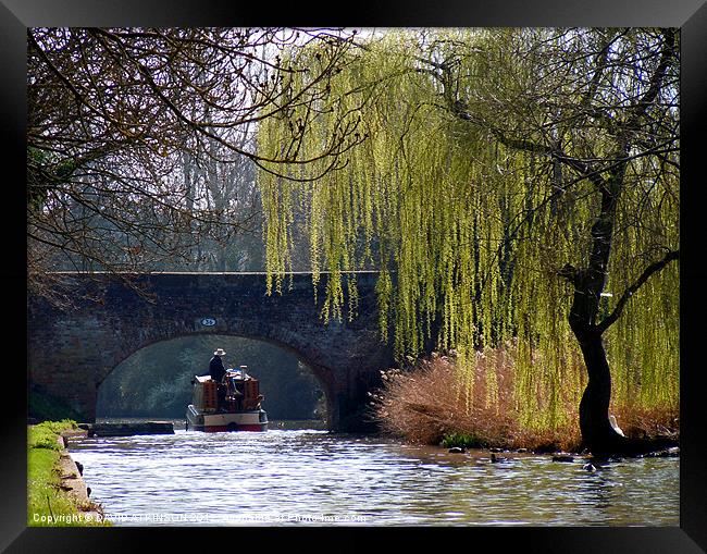 THROUGH THE ARCH Framed Print by David Atkinson